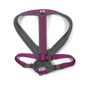 Ancol Viva XX-Large Purple Padded Dog Harness