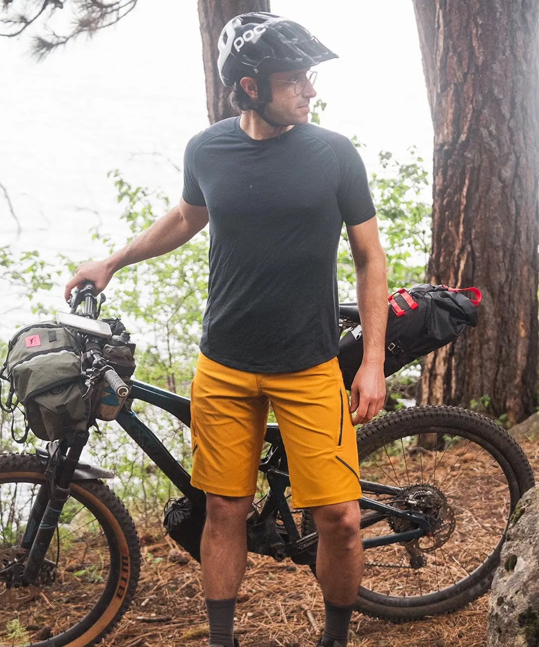 Men's Apex DWR 12" Shorts