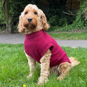 Pawsome Suits Polar Fleece Mulberry